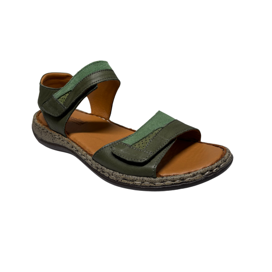 Cassini Meteor Olive